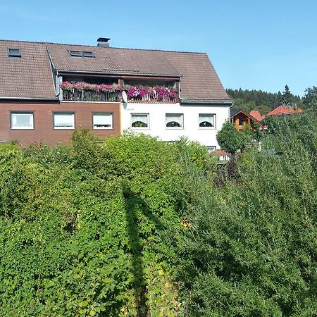 Apartment Bodeweg Schierke Extérieur photo